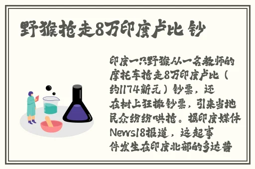 999精产国品一产区